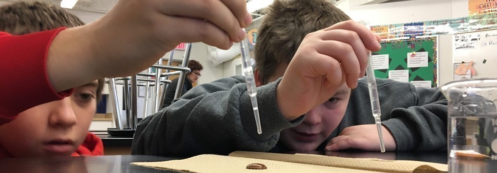 Middle School Scientists at work